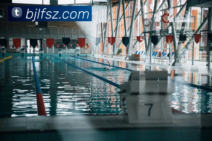 百家乐网站平台生态图